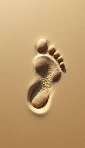college students, carbon footprint, ecological footprint, how to reduce carbon footprint, reduce carbon footprint, what is carbon footprint
