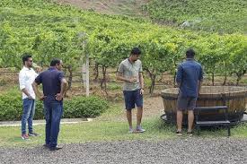 Grover Vineyards - Nandi Hills