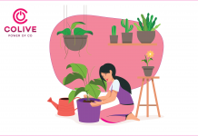 7 Best Plants to Keep in a Shared Space to Spread Positivity Around Best Plants to Keep