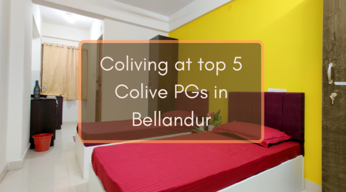 Coliving PG in Bellandur