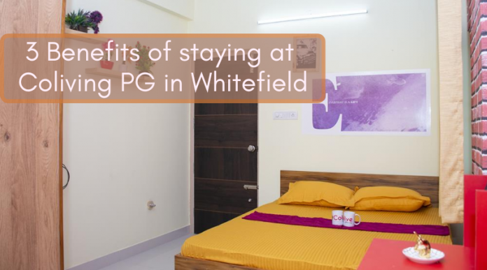 Coliving PG in Whitefield