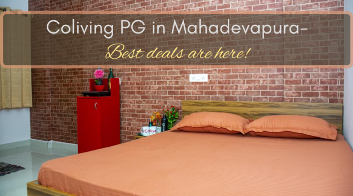 Coliving PG in Mahadevpura