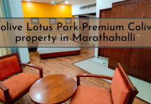 Colive Lotus Park – Premium Colive property in Marathahalli Colive Lotus Park