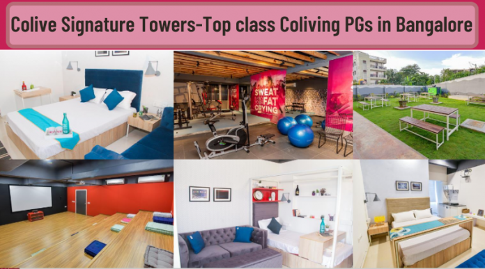 Colive Signature Towers-Top class Coliving PG in Bangalore