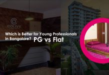 PG vs. Flat: Which is Better for Young Professionals in Bangalore? detailed info about which is best pg or flat for professional who want to live in Bangalore