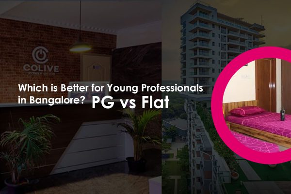PG vs. Flat: Which is Better for Young Professionals in Bangalore ...